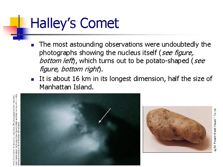 Halley’s Comet n n The most astounding observations were undoubtedly the photographs showing the