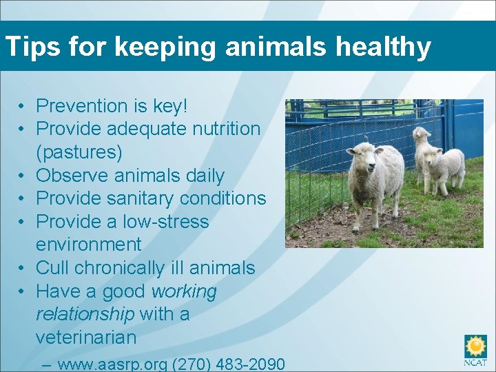 Tips for keeping animals healthy • Prevention is key! • Provide adequate nutrition (pastures)
