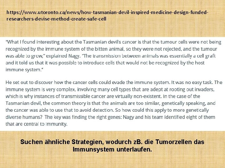 https: //www. utoronto. ca/news/how-tasmanian-devil-inspired-medicine-design-fundedresearchers-devise-method-create-safe-cell Suchen ähnliche Strategien, wodurch z. B. die Tumorzellen das Immunsystem