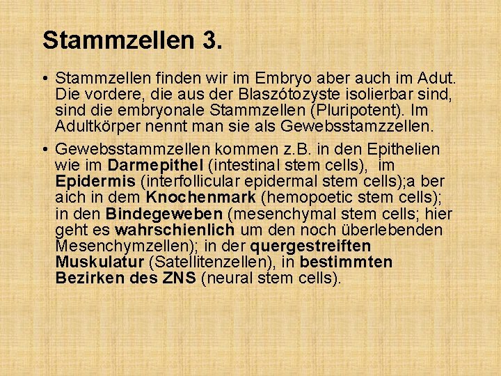 Stammzellen 3. • Stammzellen finden wir im Embryo aber auch im Adut. Die vordere,