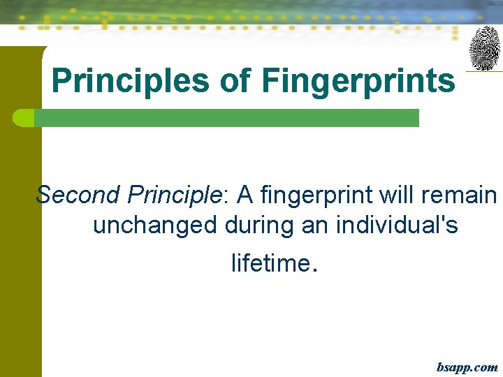 Principles of Fingerprints Second Principle: A fingerprint will remain unchanged during an individual's lifetime.