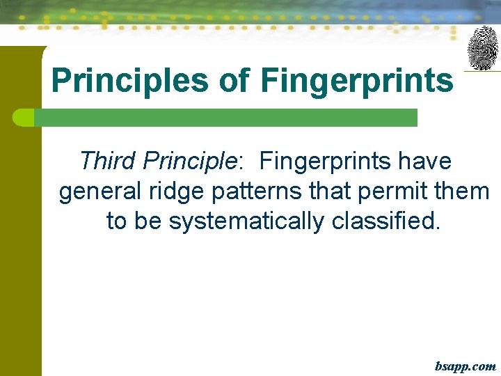 Principles of Fingerprints Third Principle: Fingerprints have general ridge patterns that permit them to