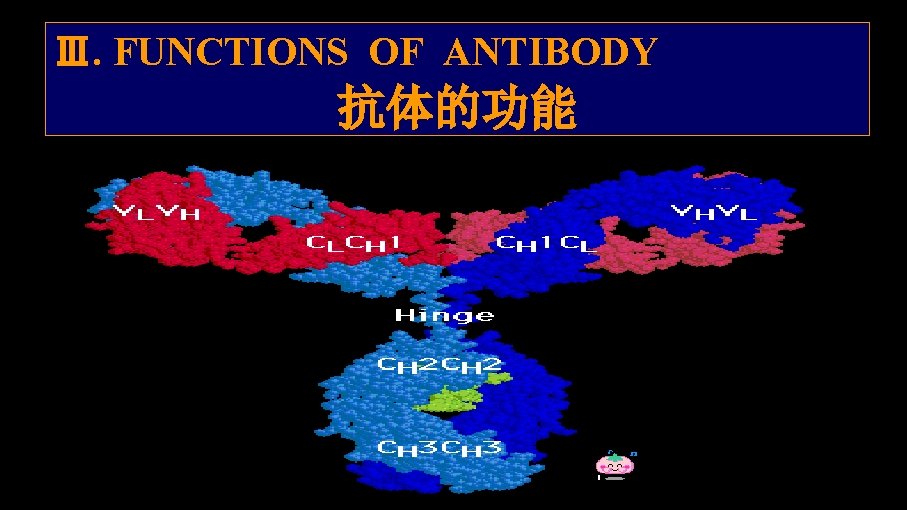 Ⅲ. FUNCTIONS OF ANTIBODY 抗体的功能 Ⅰ 