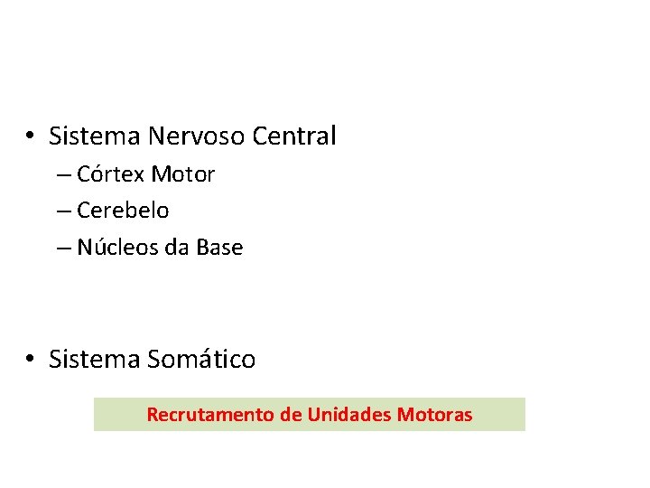  • Sistema Nervoso Central – Córtex Motor – Cerebelo – Núcleos da Base