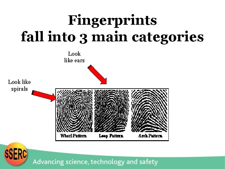 Fingerprints fall into 3 main categories Look like ears Look like spirals 