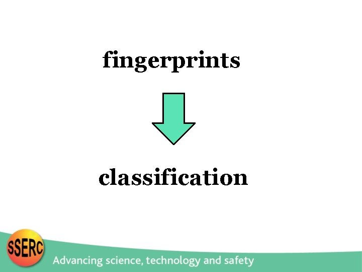 fingerprints classification 