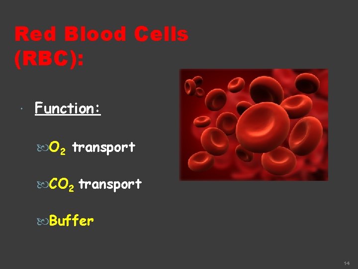 Red Blood Cells (RBC): Function: O 2 transport CO 2 transport Buffer 14 