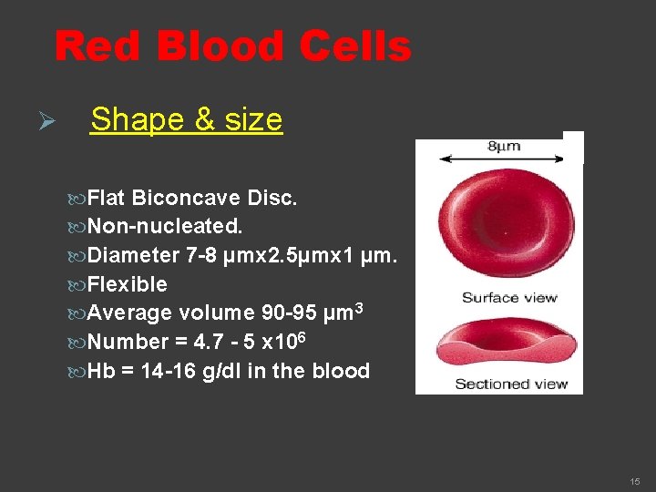 Red Blood Cells Ø Shape & size Flat Biconcave Disc. Non-nucleated. Diameter 7 -8