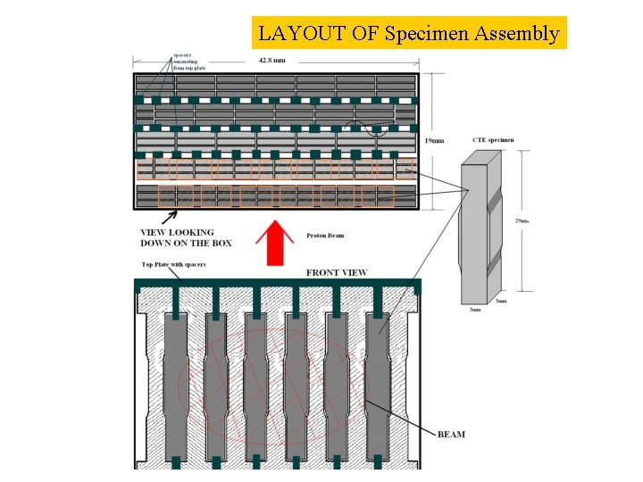 LAYOUT OF Specimen Assembly 