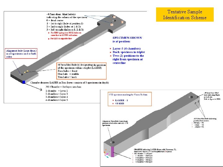 Tentative Sample Identification Scheme 