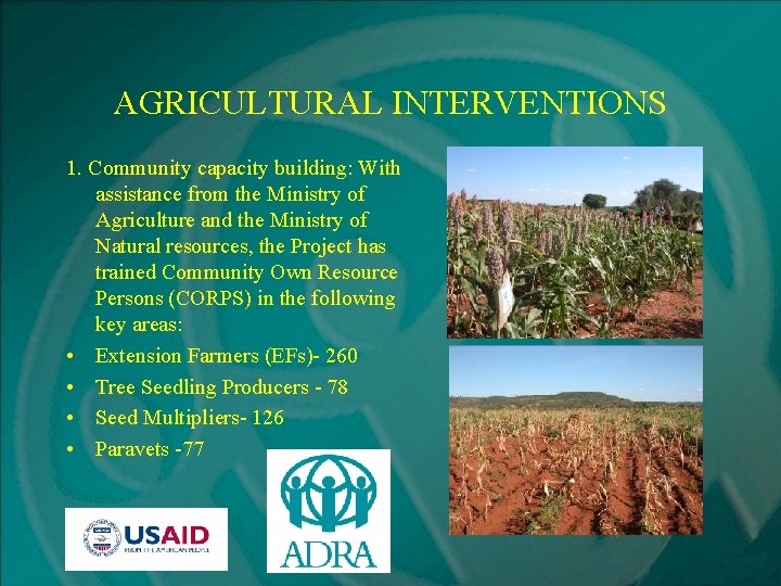 AGRICULTURAL INTERVENTIONS 1. Community capacity building: With assistance from the Ministry of Agriculture and