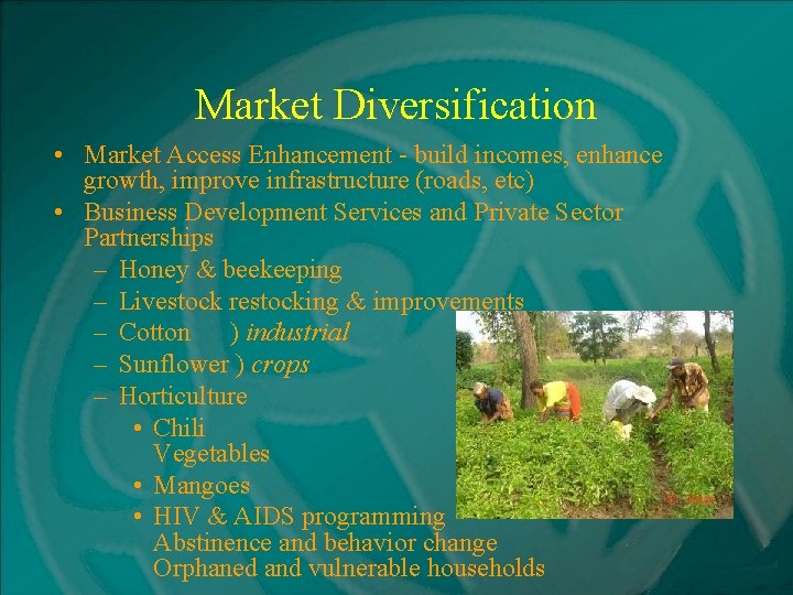 Market Diversification • Market Access Enhancement - build incomes, enhance growth, improve infrastructure (roads,