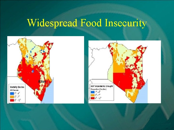 Widespread Food Insecurity Kitui 