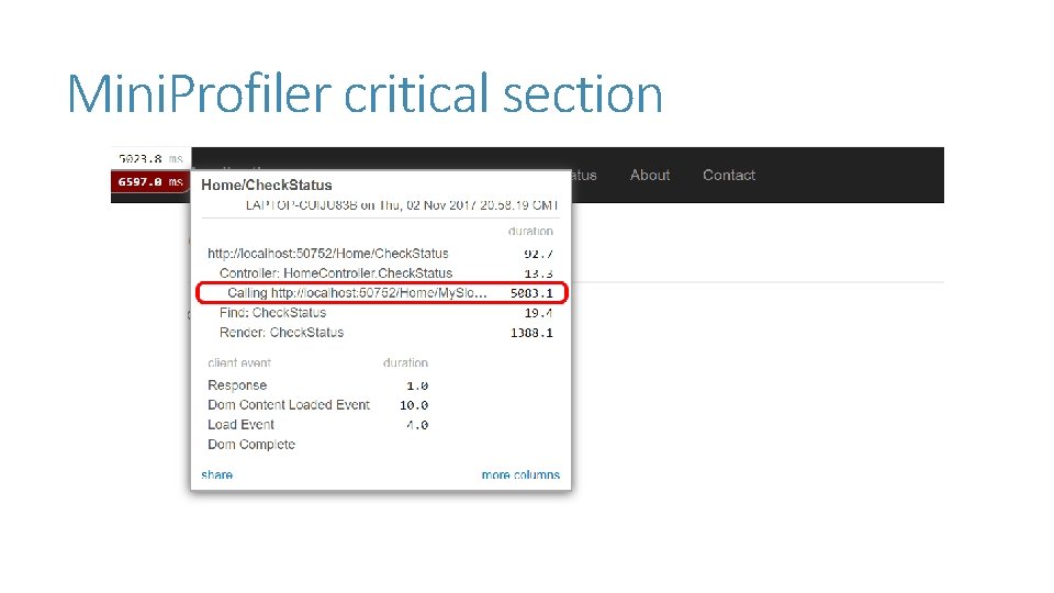 Mini. Profiler critical section Mini. Profiler critical section