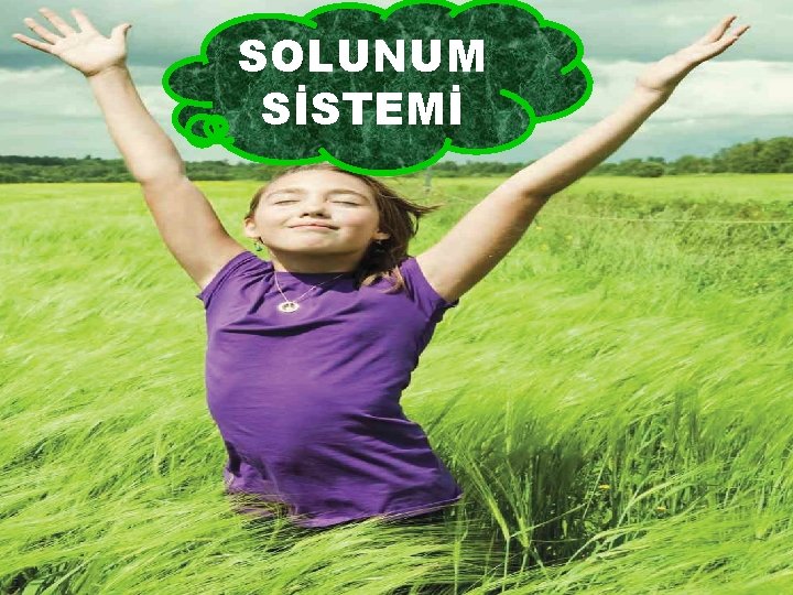 SOLUNUM SİSTEMİ 2 