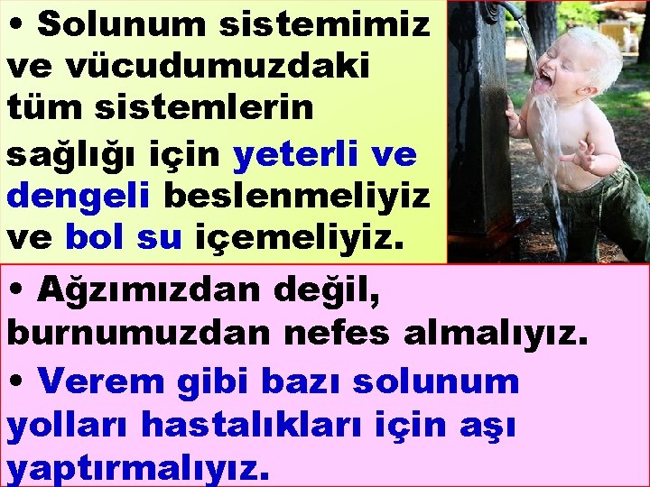  • Solunum sistemimiz ve vücudumuzdaki tüm sistemlerin sağlığı için yeterli ve dengeli beslenmeliyiz