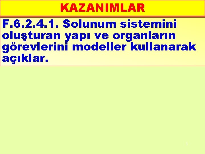 KAZANIMLAR F. 6. 2. 4. 1. Solunum sistemini oluşturan yapı ve organların görevlerini modeller