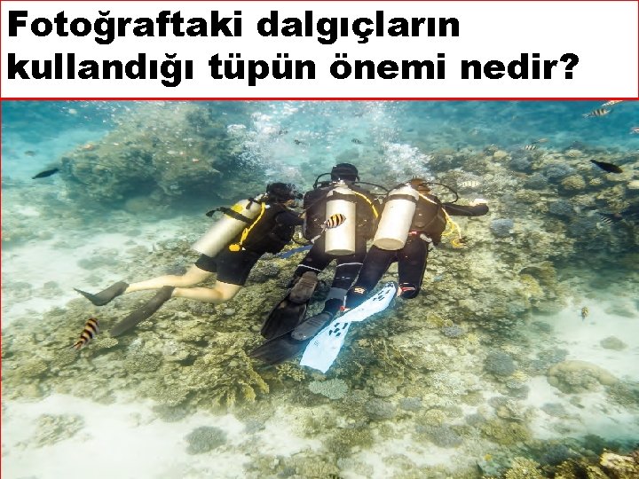 Fotoğraftaki dalgıçların kullandığı tüpün önemi nedir? 4 