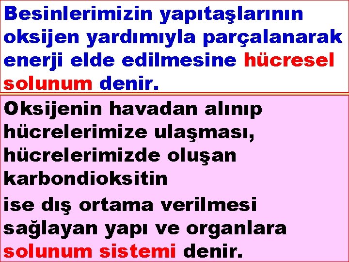 Besinlerimizin yapıtaşlarının oksijen yardımıyla parçalanarak enerji elde edilmesine hücresel solunum denir. Oksijenin havadan alınıp