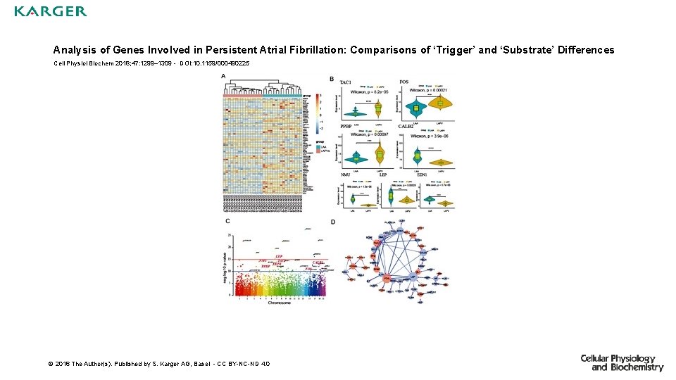 Analysis of Genes Involved in Persistent Atrial Fibrillation: Comparisons of ‘Trigger’ and ‘Substrate’ Differences