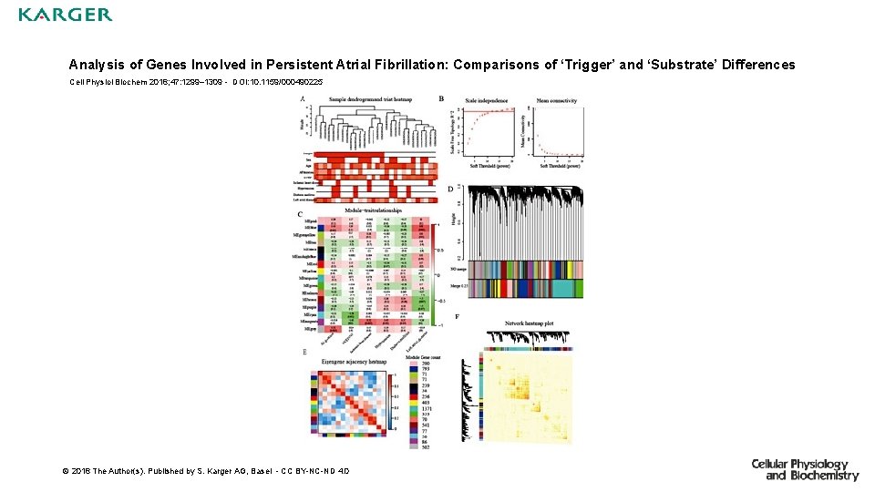 Analysis of Genes Involved in Persistent Atrial Fibrillation: Comparisons of ‘Trigger’ and ‘Substrate’ Differences
