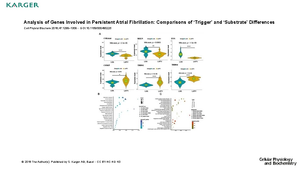 Analysis of Genes Involved in Persistent Atrial Fibrillation: Comparisons of ‘Trigger’ and ‘Substrate’ Differences