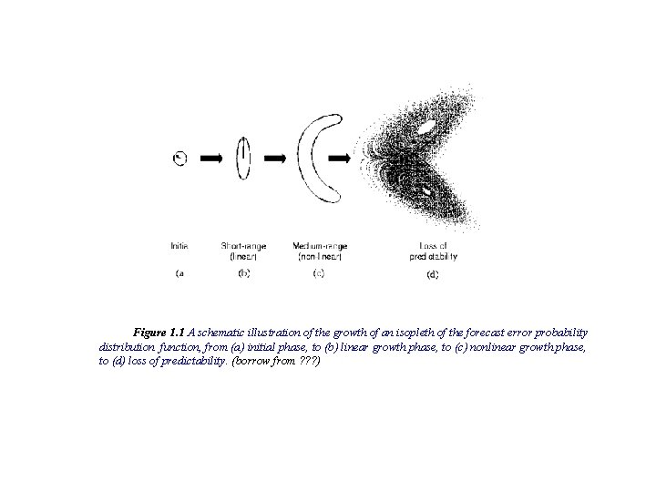 Figure 1. 1 A schematic illustration of the growth of an isopleth of the