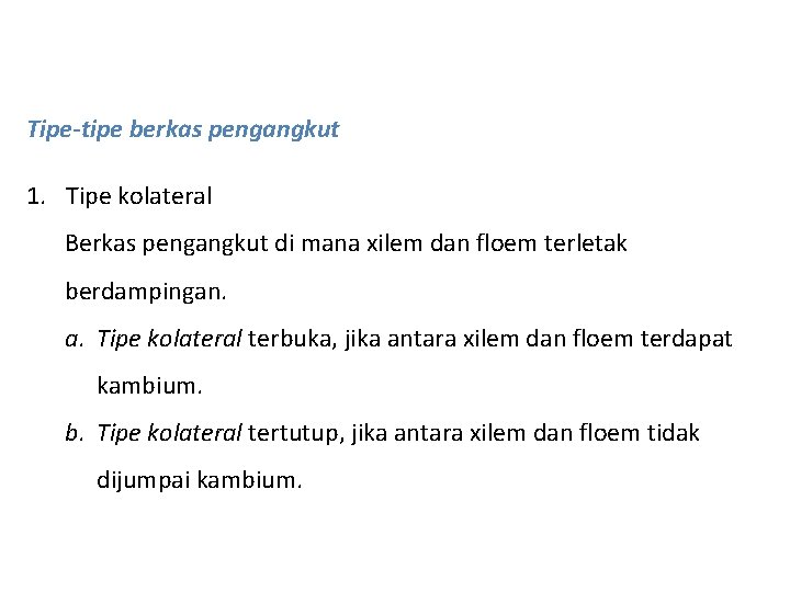 Tipe-tipe berkas pengangkut 1. Tipe kolateral Berkas pengangkut di mana xilem dan floem terletak