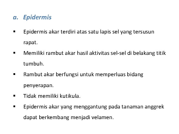 a. Epidermis § Epidermis akar terdiri atas satu lapis sel yang tersusun rapat. §