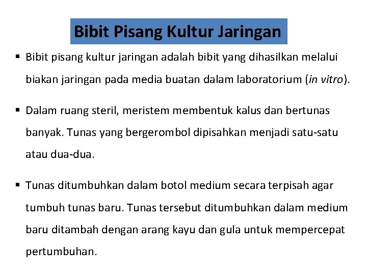 Bibit Pisang Kultur Jaringan § Bibit pisang kultur jaringan adalah bibit yang dihasilkan melalui