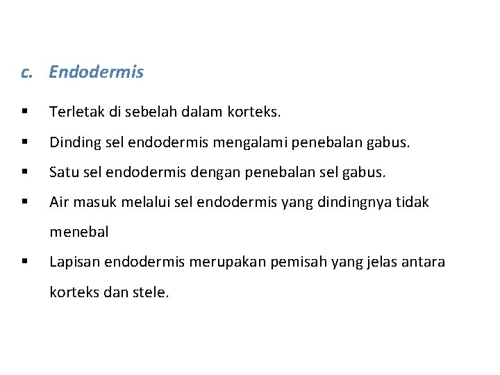 c. Endodermis § Terletak di sebelah dalam korteks. § Dinding sel endodermis mengalami penebalan