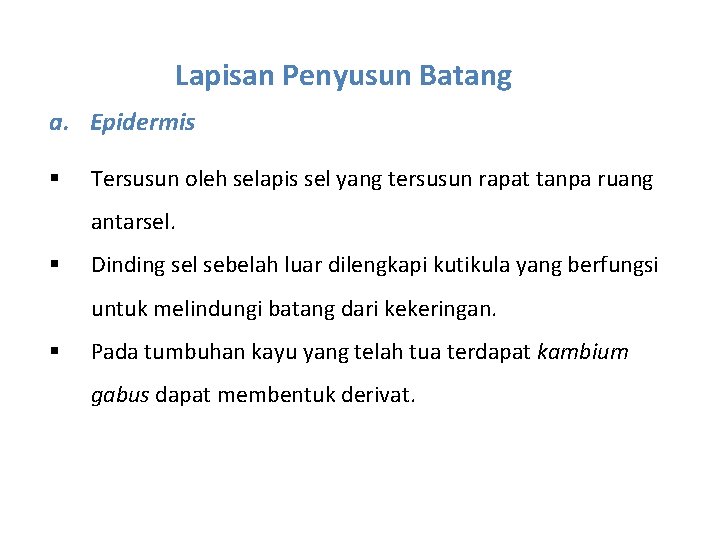 Lapisan Penyusun Batang a. Epidermis § Tersusun oleh selapis sel yang tersusun rapat tanpa