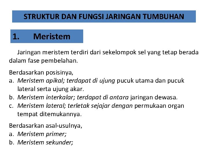 STRUKTUR DAN FUNGSI JARINGAN TUMBUHAN 1. Meristem Jaringan meristem terdiri dari sekelompok sel yang