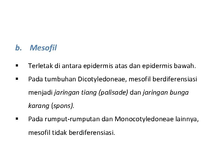 b. Mesofil § Terletak di antara epidermis atas dan epidermis bawah. § Pada tumbuhan