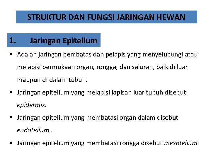 STRUKTUR DAN FUNGSI JARINGAN HEWAN 1. Jaringan Epitelium § Adalah jaringan pembatas dan pelapis