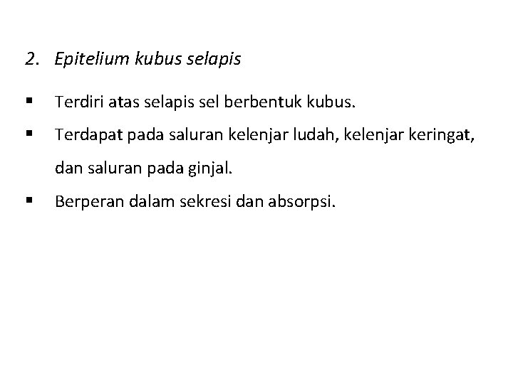 2. Epitelium kubus selapis § Terdiri atas selapis sel berbentuk kubus. § Terdapat pada