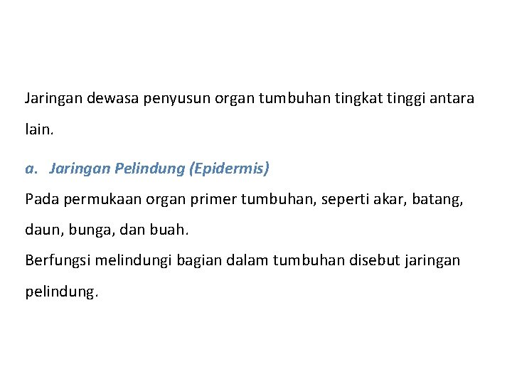 Jaringan dewasa penyusun organ tumbuhan tingkat tinggi antara lain. a. Jaringan Pelindung (Epidermis) Pada