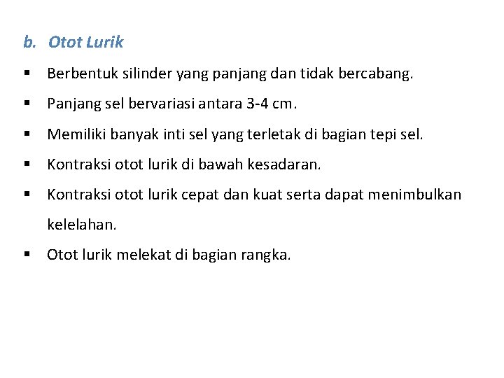 b. Otot Lurik § Berbentuk silinder yang panjang dan tidak bercabang. § Panjang sel