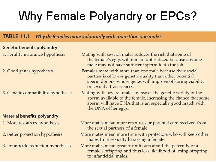 Why Female Polyandry or EPCs? 