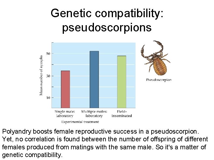 Genetic compatibility: pseudoscorpions Polyandry boosts female reproductive success in a pseudoscorpion. Yet, no correlation