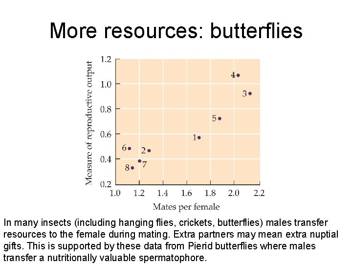 More resources: butterflies In many insects (including hanging flies, crickets, butterflies) males transfer resources