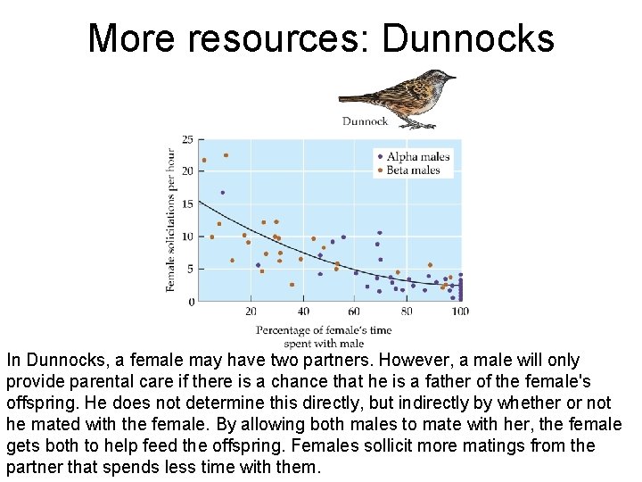 More resources: Dunnocks In Dunnocks, a female may have two partners. However, a male