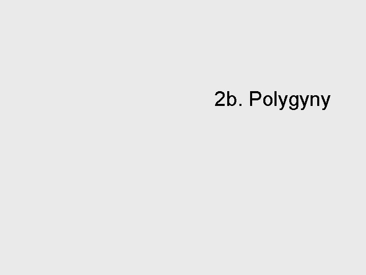 2 b. Polygyny 