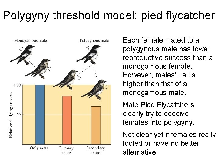 Polygyny threshold model: pied flycatcher Each female mated to a polygynous male has lower