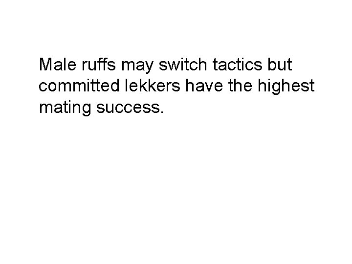 Male ruffs may switch tactics but committed lekkers have the highest mating success. 