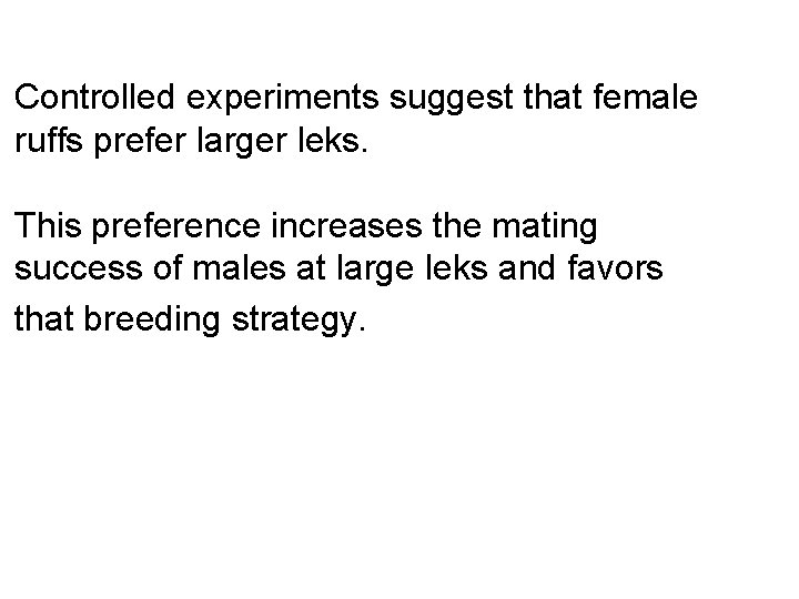 Controlled experiments suggest that female ruffs prefer larger leks. This preference increases the mating