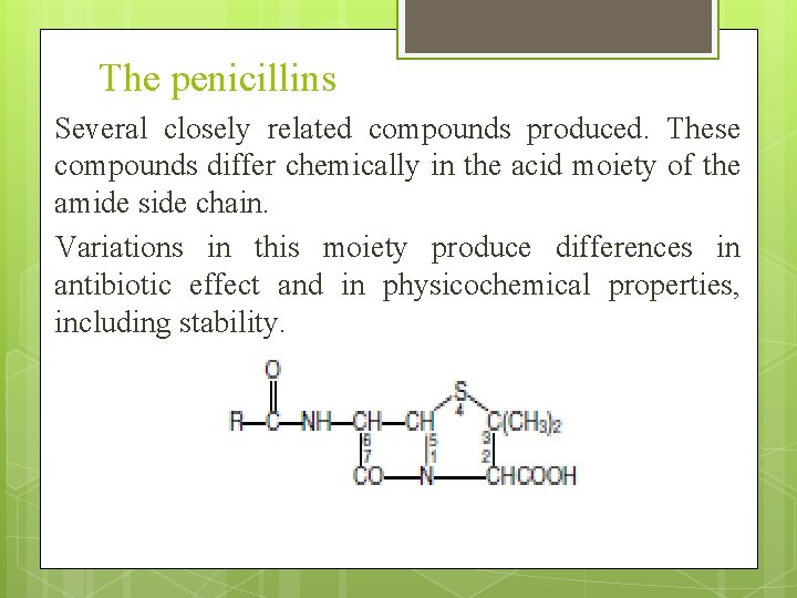 The penicillins Several closely related compounds produced. These compounds differ chemically in the acid