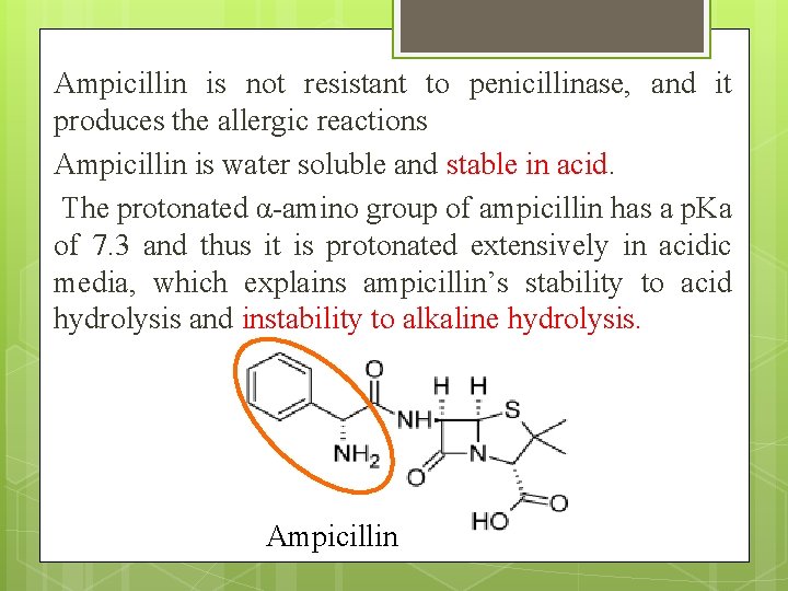 Ampicillin is not resistant to penicillinase, and it produces the allergic reactions Ampicillin is