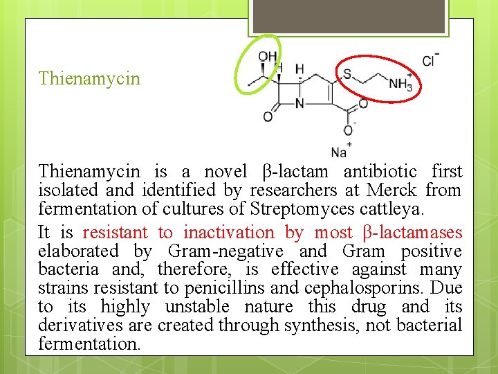 Thienamycin is a novel β-lactam antibiotic first isolated and identified by researchers at Merck