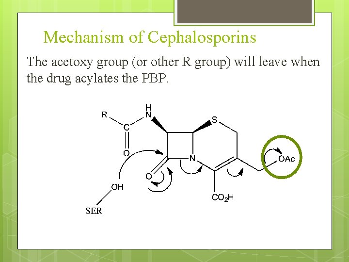 Mechanism of Cephalosporins The acetoxy group (or other R group) will leave when the